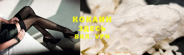 стаф Ростов