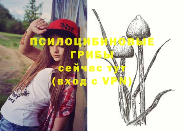 стаф Ростов