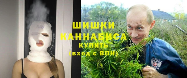 стаф Ростов