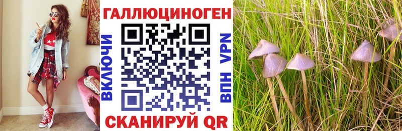 Псилоцибиновые грибы GOLDEN TEACHER  что такое   Шацк 